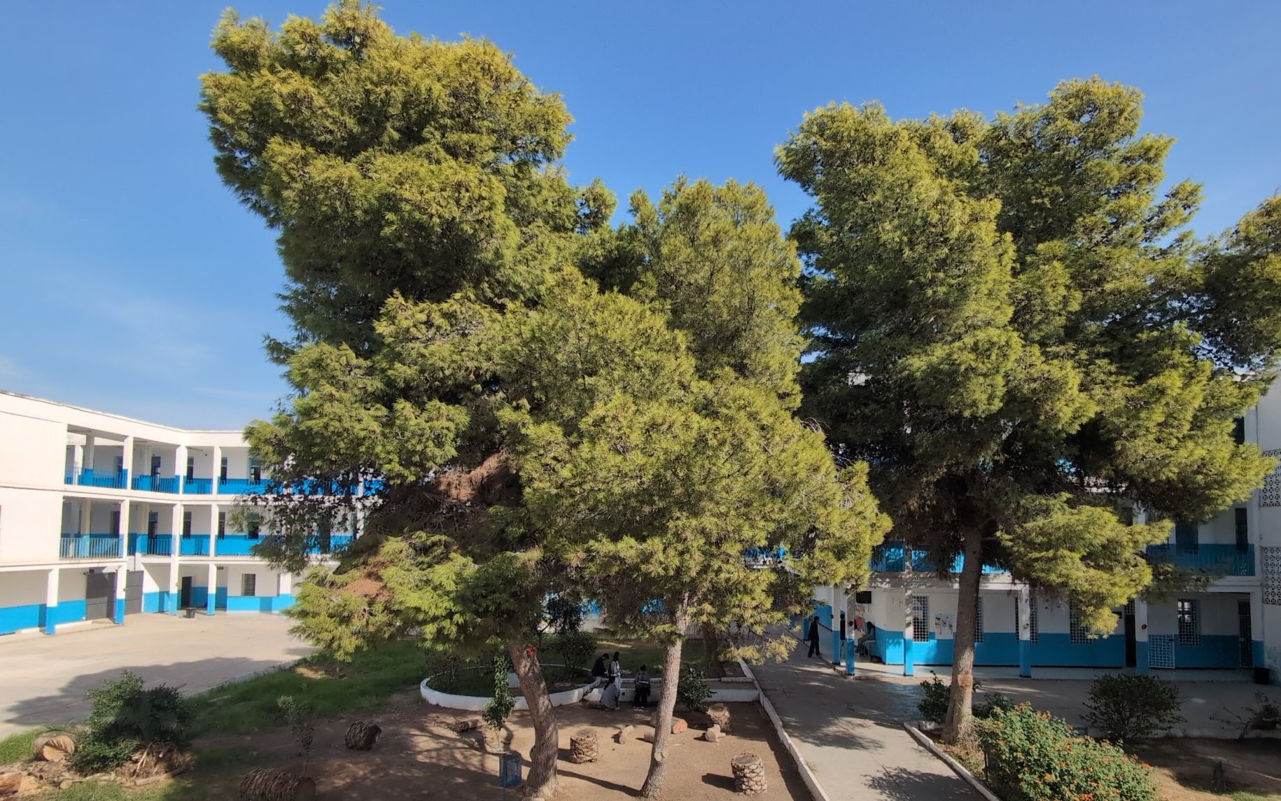 The school garden and courtyard